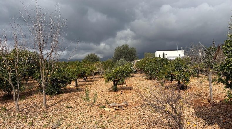 Balearic Islands - Marratxinet - 972m2