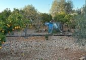 Urban land for sale on carrer Tamarell, Marratxinet, ref: TR231557 photo