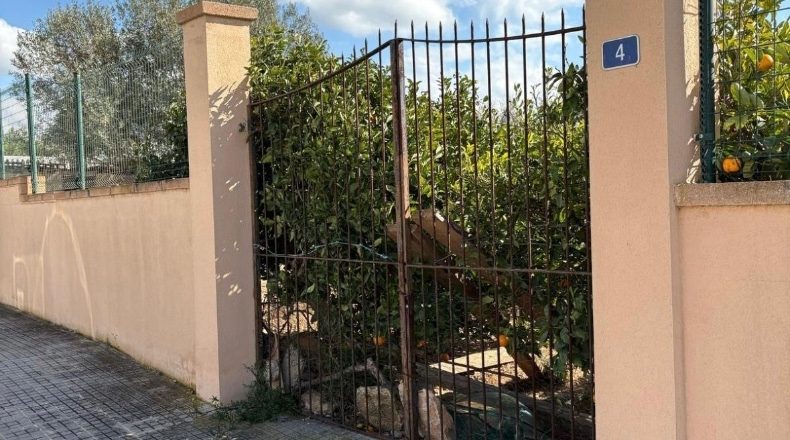 Balearic Islands - Marratxinet - 972m2