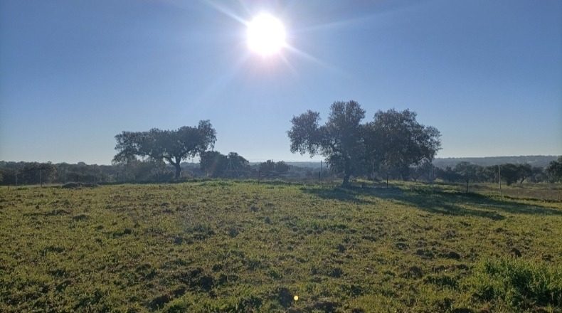 Badajoz - Badajoz - 150000m2