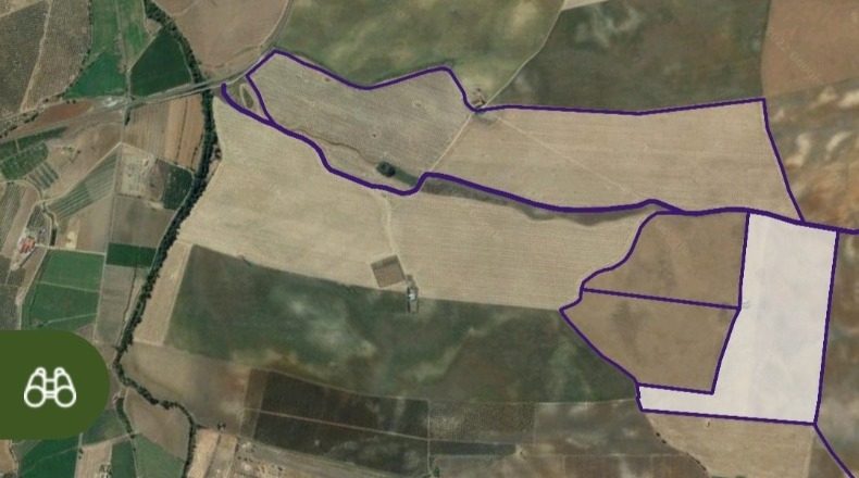 Badajoz - Badajoz - 150000m2