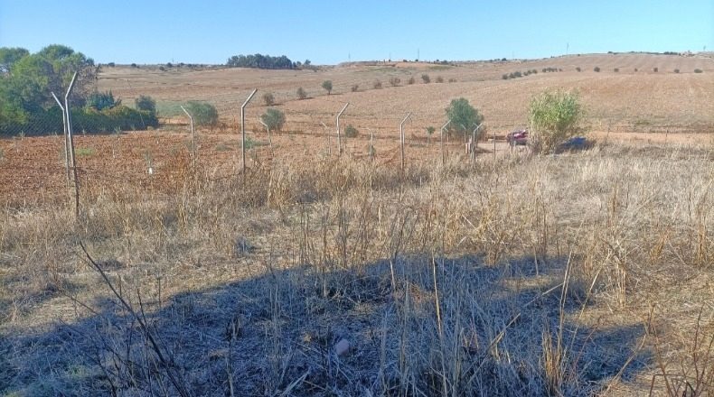 Badajoz - Badajoz - 150000m2