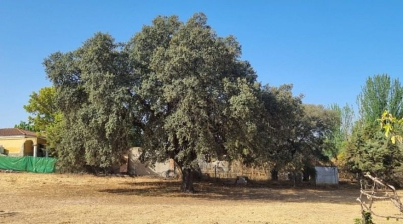 Badajoz - Badajoz - 150000m2