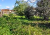 Suelo urbano en venta en la Carrer de Sardinyola, Santa Margarida i els Monjos, ref: TR231585 foto