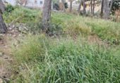 Sòl urbà en venda a la Avinguda d'Espanya, Calafell, ref.: TR231586 foto