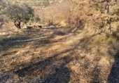 Terreno no urbanizable en venta en la Carrer Únic del Claverol, Claverol, ref: TR231587 foto
