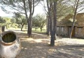 Casa de pedra amb terreny en venda a la CAMINO JUNTO AL CIJARA, Alía, ref.: TR231599 foto