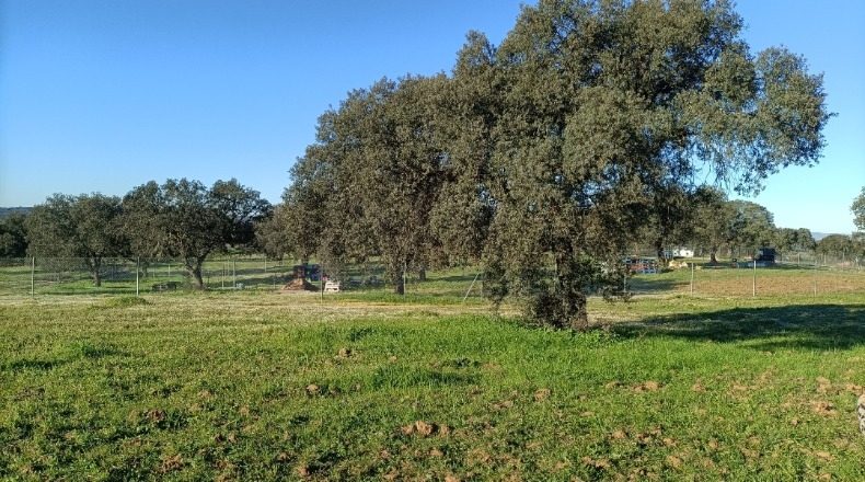 Badajoz - Badajoz - 1200m2