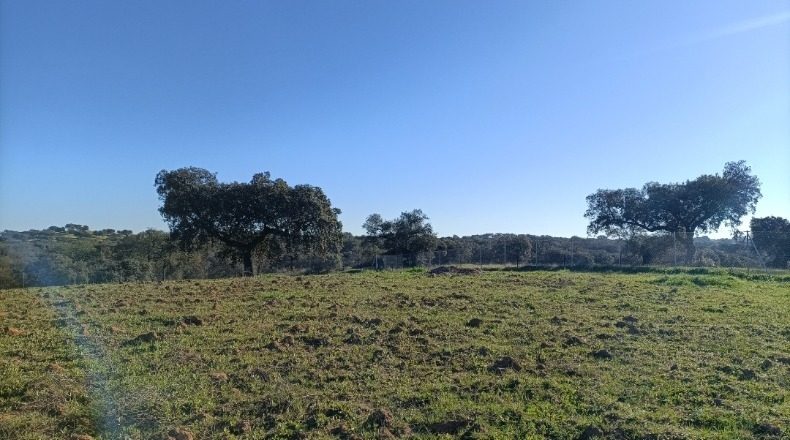 Badajoz - Badajoz - 1200m2