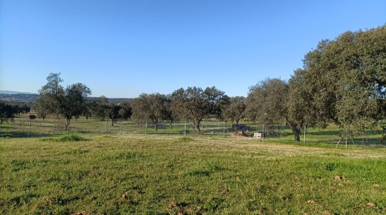 Badajoz - Badajoz - 1200m2