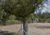 Terreny no urbanitzable en venda a la El Manantío, Badajoz, ref.: TR231596 foto