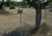 Terreny no urbanitzable en venda a la El Manantío, Badajoz, ref.: TR231596 foto
