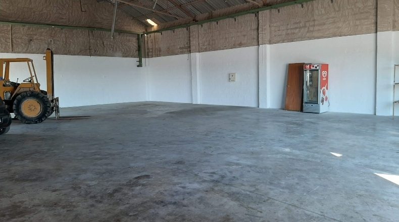 Alicante - Mercalicante - 2700m2