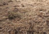 Land suitable for development for sale on Estrada de Valadares, Vigo, ref: TR231602 photo