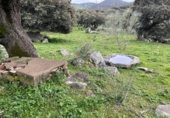 Casa de camp amb terreny en venda a la Carretera de Trujillo a Montánchez, Montánchez, ref.: TR231604 foto