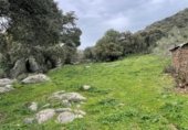 Casa de camp amb terreny en venda a la Carretera de Trujillo a Montánchez, Montánchez, ref.: TR231604 foto