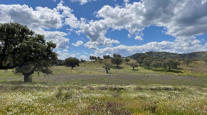 Badajoz - Palomas - 1250000m2