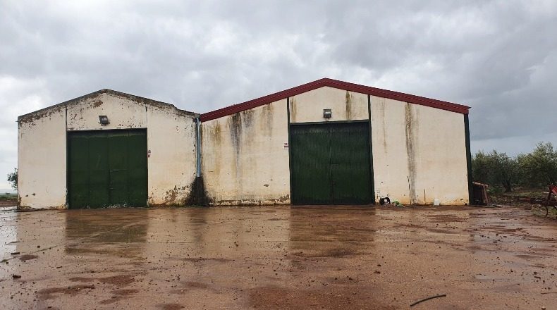 Badajoz - La Albuera - 800000m2