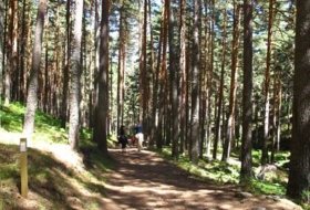 Foto 20