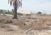 Parcel·la urbanitzable en venda a la Campo Jumillicas, Fortuna, ref.: TR231611 foto