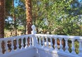 Casa de campo con terreno en venta en la Camino de las Palmeras, Beniel, ref: TR231682 foto