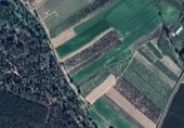 Non-developable land for sale on Camino del Llano, Villamanrique de la Condesa, ref: TR231683 photo