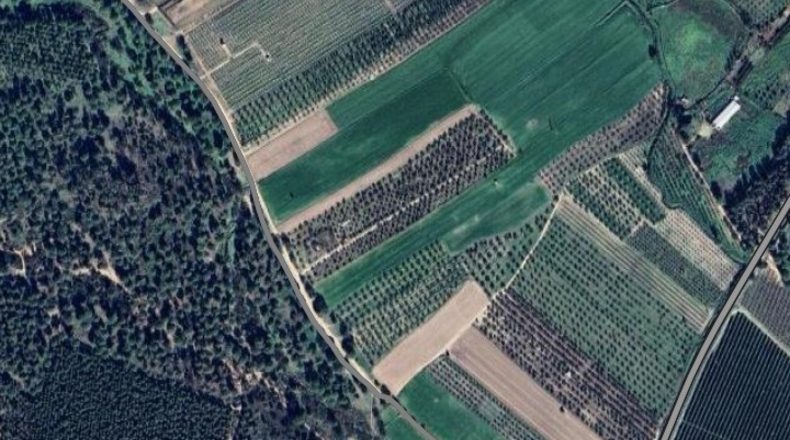 Sevilla - Villamanrique de la Condesa - 145000m2