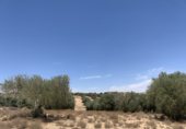 Parcel·la urbanitzable en venda a la Calle Cedro, Olías del Rey, ref.: TR231745 foto