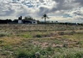 Non-developable land for sale on Camí Vell de Xelva, Llíria, ref: TR231760 photo