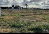Non-developable land for sale on Camí Vell de Xelva, Llíria, ref: TR231760 photo