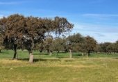 Terreno en venta en la cercas El Gamo, Garbayuela, ref: TR231848 foto