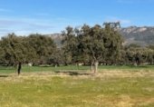 Terreno en venta en la cercas El Gamo, Garbayuela, ref: TR231848 foto