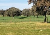 Terreno en venta en la cercas El Gamo, Garbayuela, ref: TR231848 foto