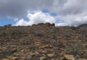 Stone house with land for sale on PR GC 45, Mogán, ref: TR227727 photo
