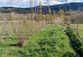 Дом с участком на продажу в городе El Torno Фото
