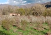 Дом с участком на продажу в городе El Torno Фото