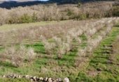 Дом с участком на продажу в городе El Torno Фото