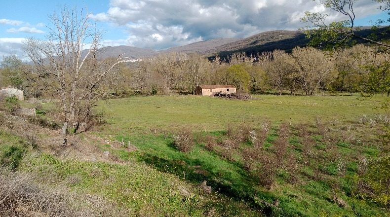 Cáceres - El Torno - 90747m2