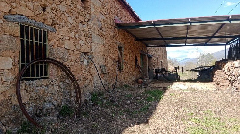 Cáceres - El Torno - 90747m2