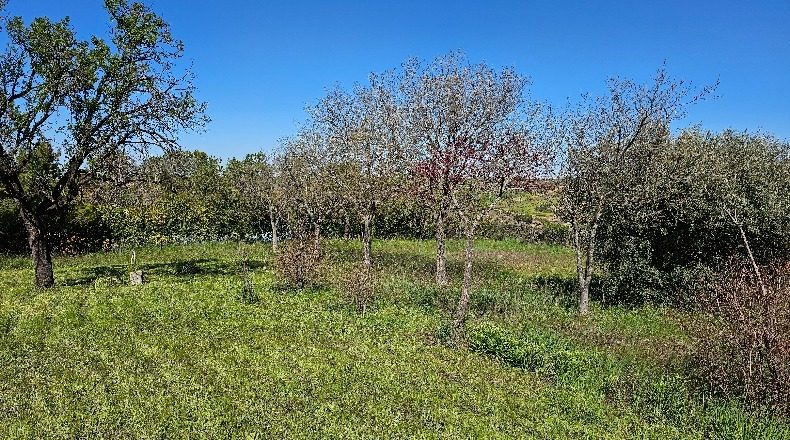 Toledo - Albarreal de Tajo - 2500m2