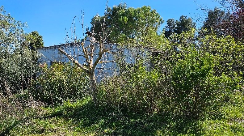 Toledo - Albarreal de Tajo - 2500m2