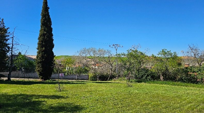 Toledo - Albarreal de Tajo - 2500m2