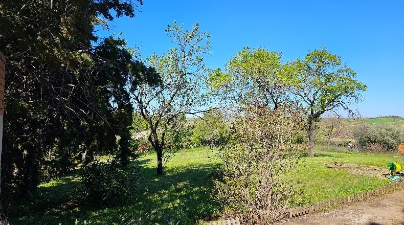 Toledo - Albarreal de Tajo - 2500m2