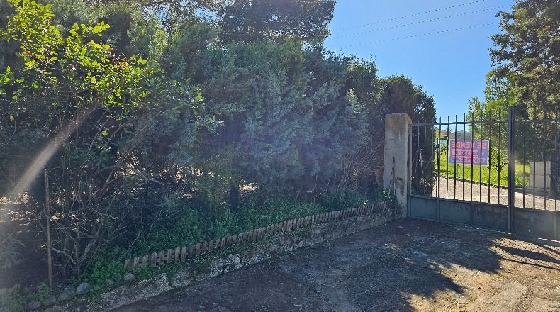 Toledo - Albarreal de Tajo - 2500m2