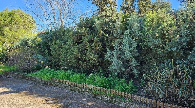 Toledo - Albarreal de Tajo - 2500m2