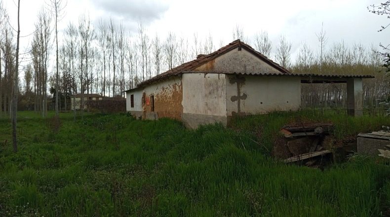 Zamora - Benavente - 13700m2