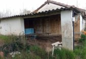 Finca rústica en venda a la El Reboño, Benavente, ref.: TR231959 foto