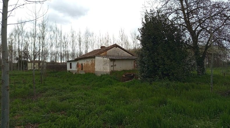 Zamora - Benavente - 13700m2