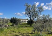 Casa de camp amb terreny en venda a la calle giner de los rios, Arriate, ref.: TR232006 foto