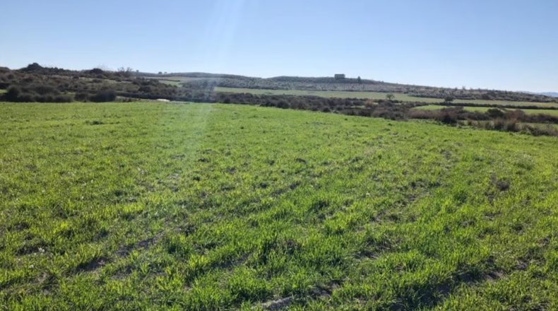 Albacete - Tobarra - 25000m2